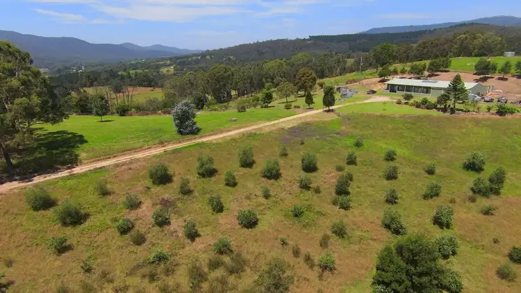 Sixth view of Homely rural property listing, 201 & 224 Pericoe Rd, Towamba NSW 2550