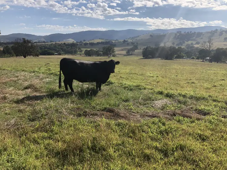 Second view of Homely rural property listing, 'Quongs'/Cnr Sandy Creek Rd & Holloways Lane, Sandy Creek VIC 3695