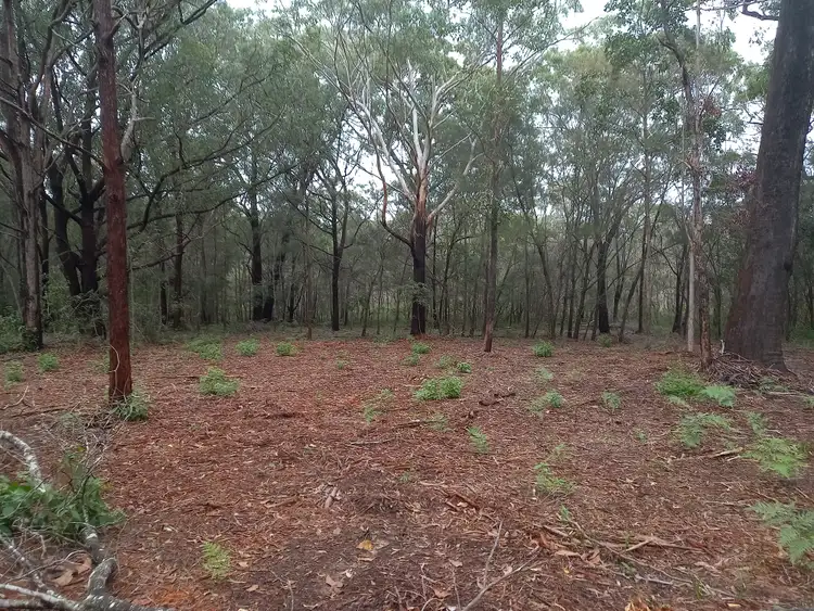 Second view of Homely land listing, 58 Dempsey St, Russell Island QLD 4184