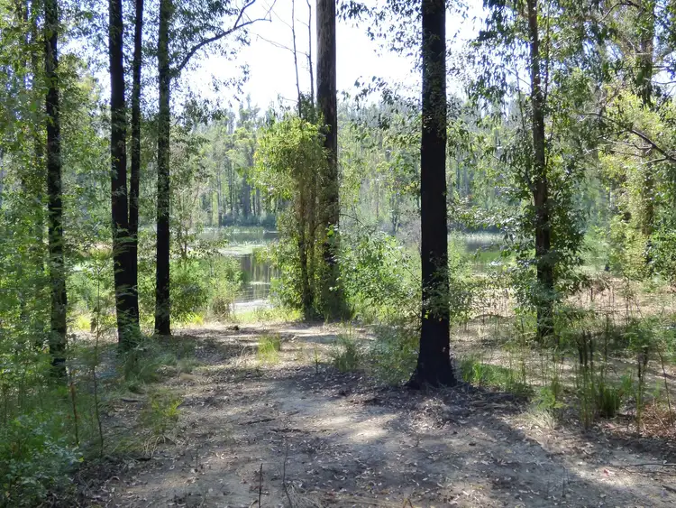 Seventh view of Homely house listing, 1471 Princes Highway KIAH Via, Eden NSW 2551