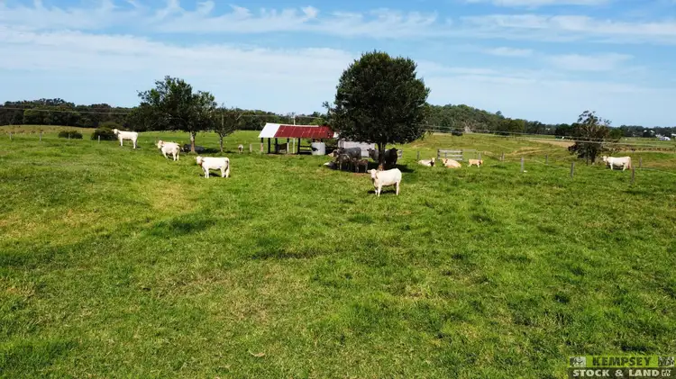 Seventh view of Homely rural property listing, Lot/1 Nelsons Wharf Rd, Aldavilla NSW 2440