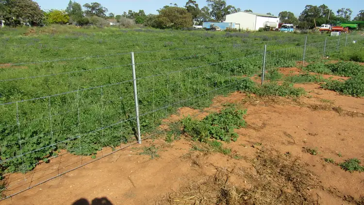 Fifth view of Homely land listing, 13 Harris St, Trangie NSW 2823