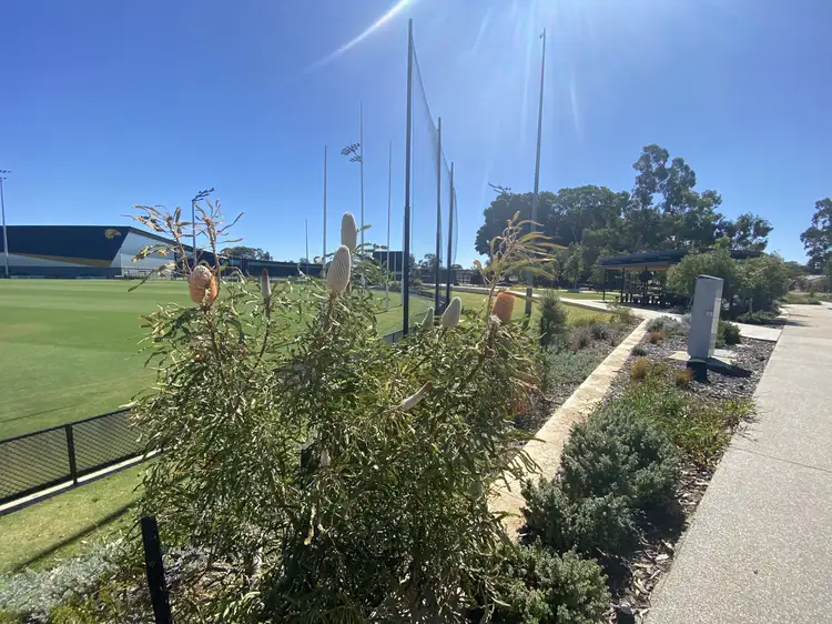 LOT Proposed  61, 2 Staines Street, Lathlain WA 6100