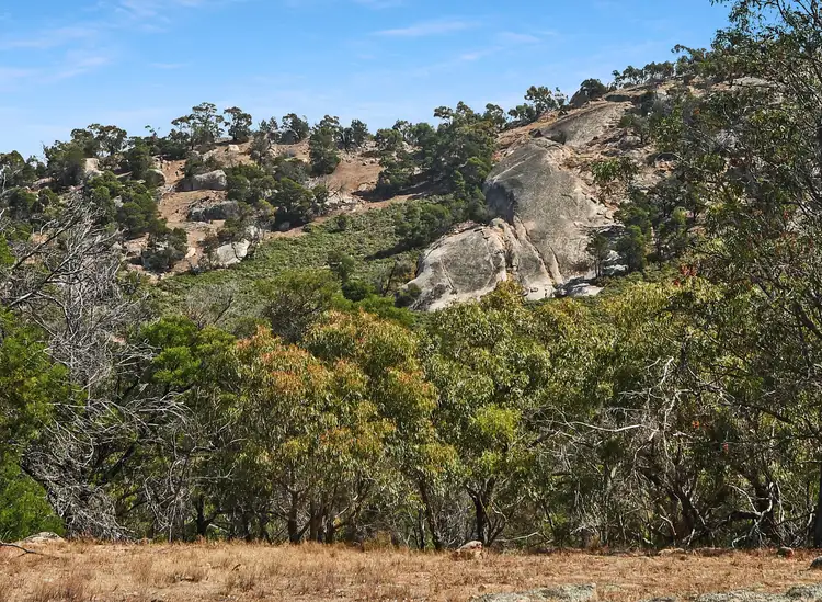 Seventh view of Homely land listing, 46 Brown Lane Black Range Via, Stawell VIC 3380