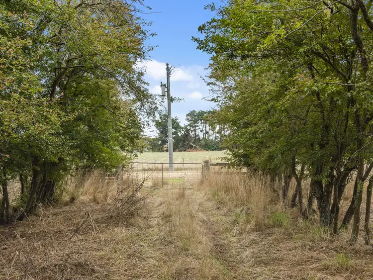 Fourth view of Homely rural property listing, 90 Sheehans Rd, Romsey VIC 3434