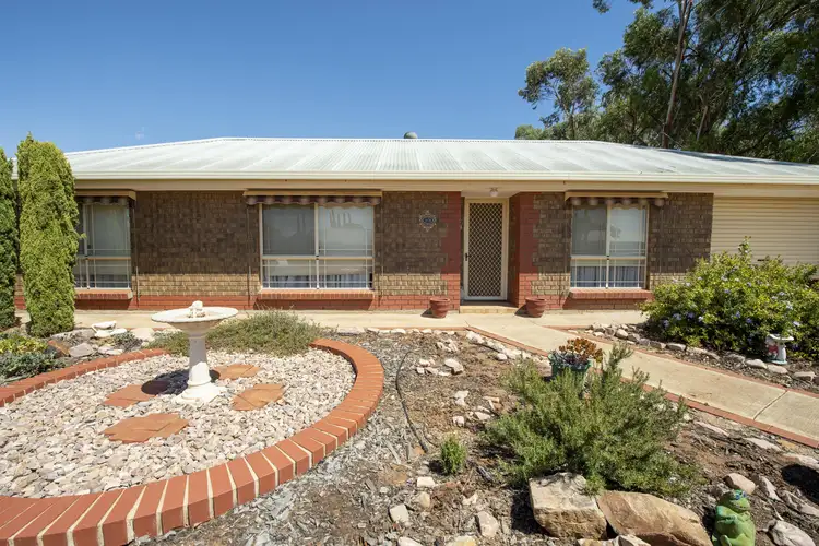 Main view of Homely house listing, 1/11 Jenkins Street, Port Pirie SA 5540