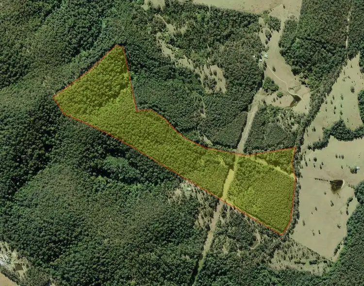 Main view of Homely rural property listing, Lot 51, 801 Manning Hill Rd, Bunyah NSW 2429