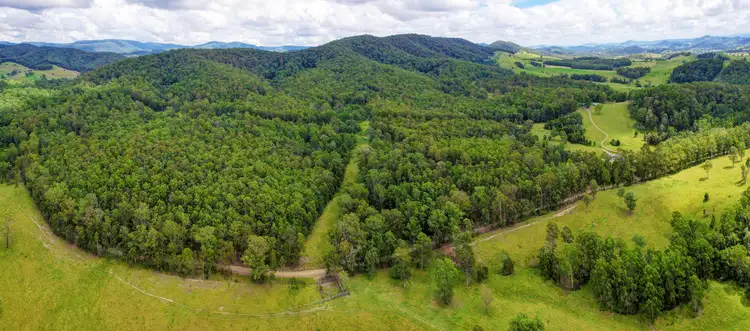 Fourth view of Homely rural property listing, Lot 51, 801 Manning Hill Rd, Bunyah NSW 2429