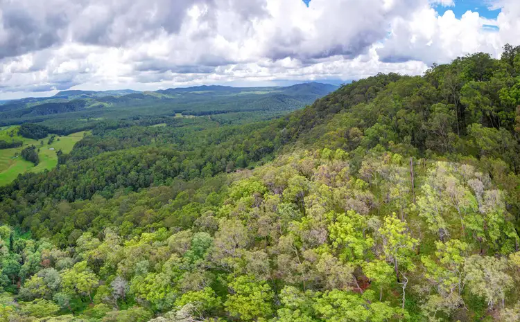 Fifth view of Homely rural property listing, Lot 51, 801 Manning Hill Rd, Bunyah NSW 2429