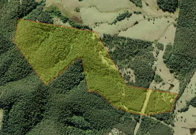 Main view of Homely rural property listing, Lot 52, 801 Manning Hill Rd, Bunyah NSW 2429