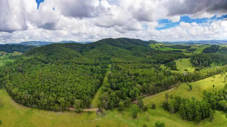 Third view of Homely rural property listing, Lot 52, 801 Manning Hill Rd, Bunyah NSW 2429