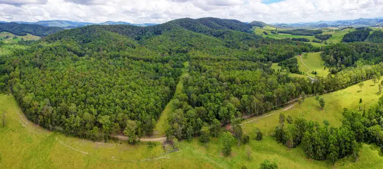 Fourth view of Homely rural property listing, Lot 52, 801 Manning Hill Rd, Bunyah NSW 2429