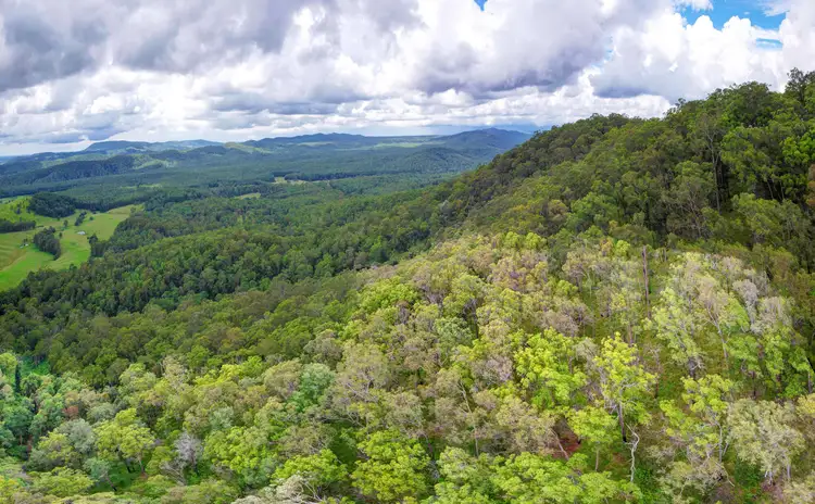 Fifth view of Homely rural property listing, Lot 52, 801 Manning Hill Rd, Bunyah NSW 2429