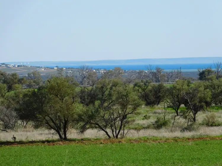 Lot 22 Muster Drive North, Napperby SA 5540