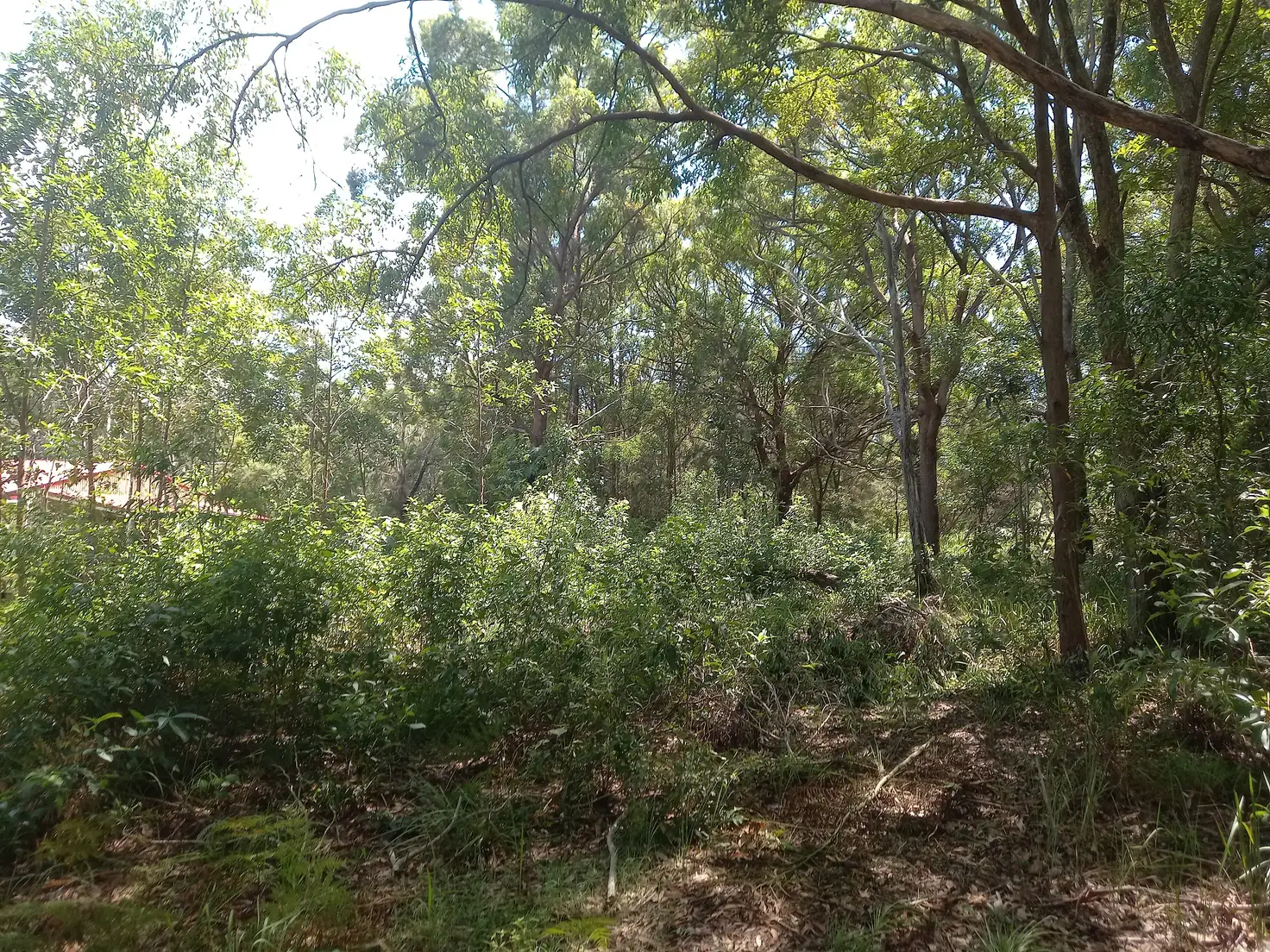 Main view of Homely land listing, 65 Tahlin Drive, Russell Island QLD 4184
