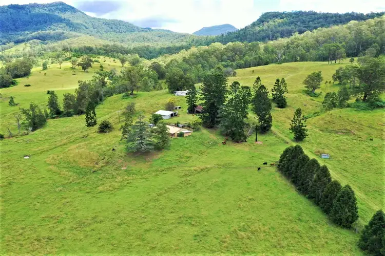 Second view of Homely rural property listing, 4135 Summerland Way, Kyogle NSW 2474