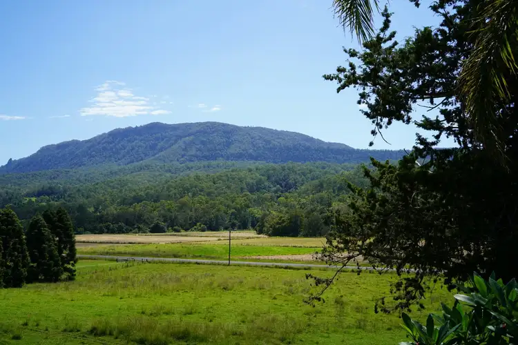 Third view of Homely rural property listing, 4135 Summerland Way, Kyogle NSW 2474