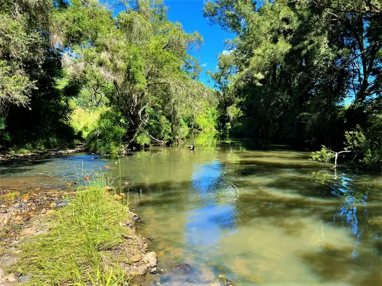 Fourth view of Homely rural property listing, 4135 Summerland Way, Kyogle NSW 2474