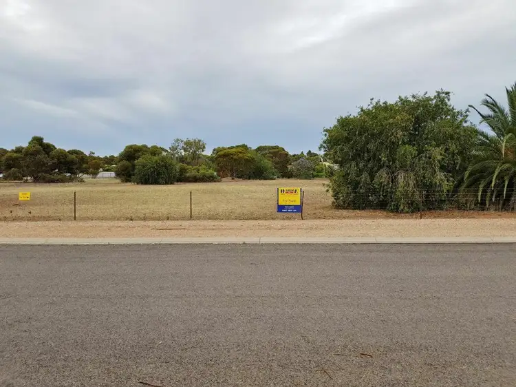 Lot 107 Catherine Avenue, Maitland SA 5573