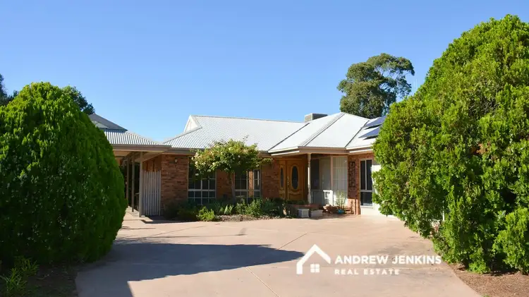 Main view of Homely house listing, 19 Gunnamara St, Barooga NSW 3644