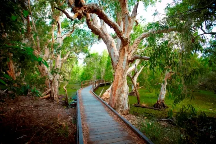 Seventh view of Homely land listing, 60 Pandanus Dr, Horseshoe Bay QLD 4819