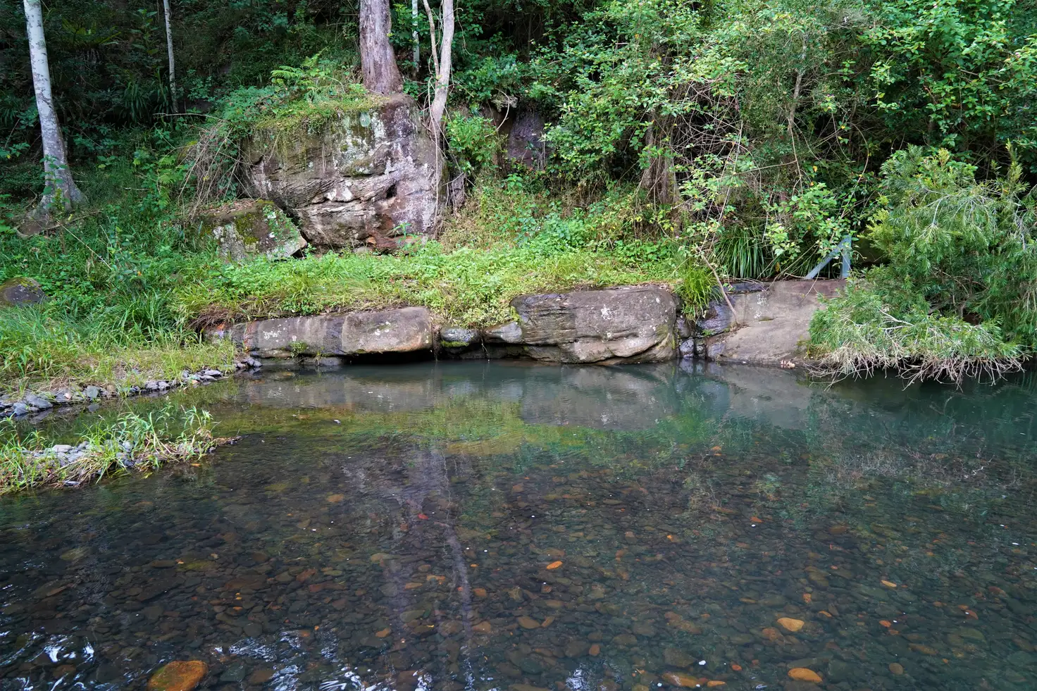 Main view of Homely rural property listing, 172 Smiths Creek Rd, Kyogle NSW 2474