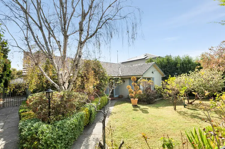 64 Lynch Cres, Brighton VIC 3186