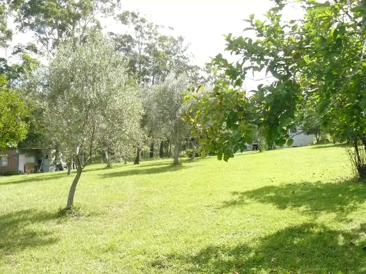 Fifth view of Homely rural property listing, 4096 The Bucketts Way, Krambach NSW 2429
