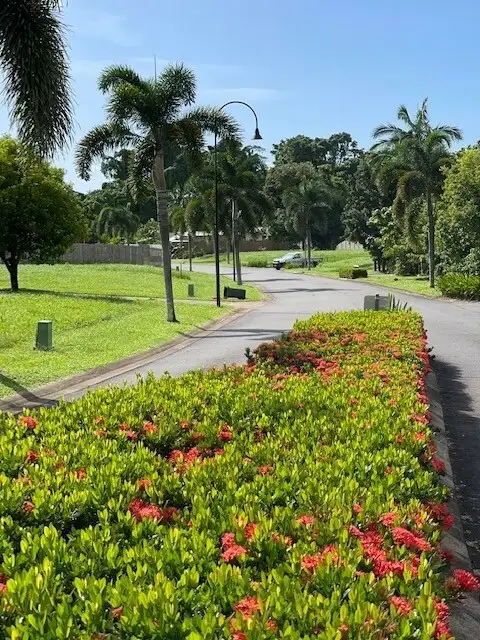 Fourth view of Homely land listing, 3 Sandpiper Close, Mission Beach QLD 4852