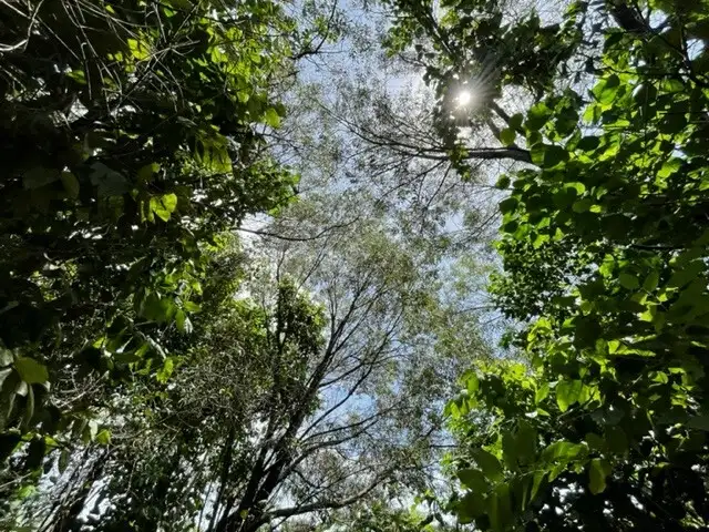 Fourth view of Homely land listing, 15 Clipper Ct, South Mission Beach QLD 4852