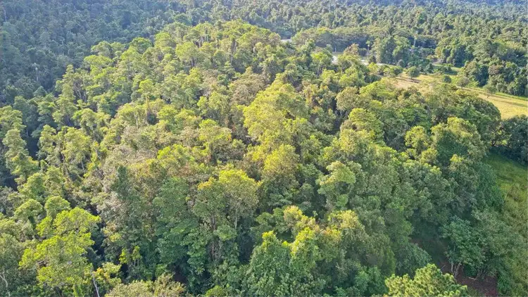 Fifth view of Homely land listing, 61 A Bamber St, Tully QLD 4854