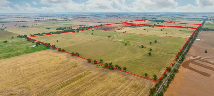 'Bexley'/. Bidgeemia Road, Rand NSW 2642