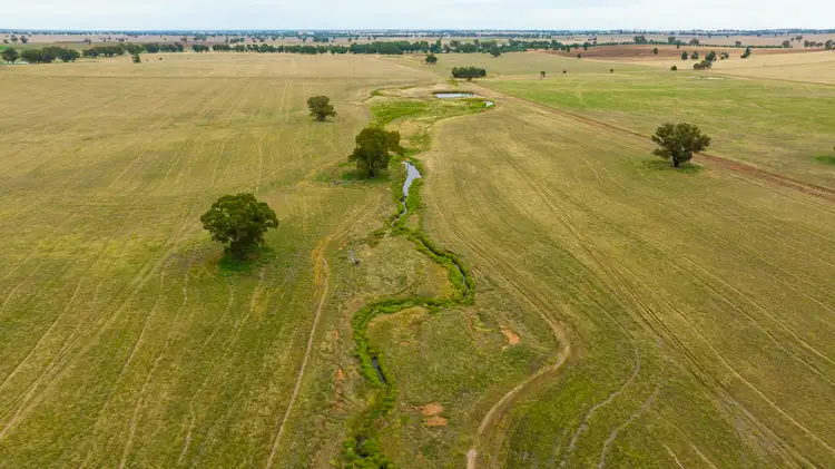Third view of Homely rural property listing, 'Bexley'/. Bidgeemia Road, Rand NSW 2642