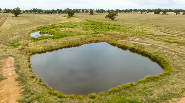 Fourth view of Homely rural property listing, 'Bexley'/. Bidgeemia Road, Rand NSW 2642