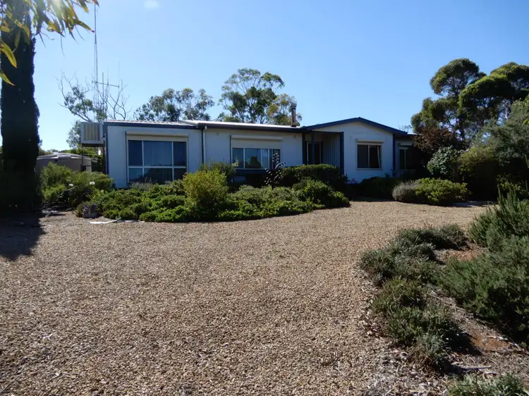 Main view of Homely house listing, 29 Barr Street, Redhill SA 5521