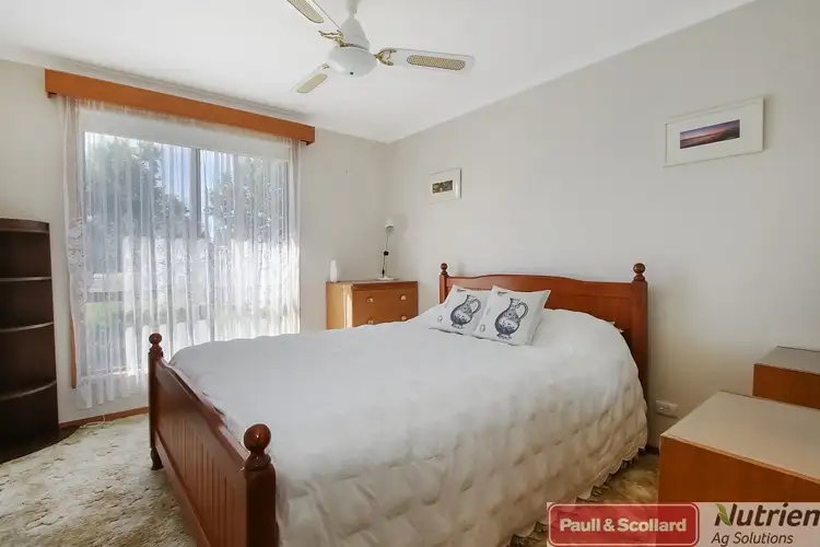 Seventh view of Homely house listing, 5 Day St, Henty NSW 2658