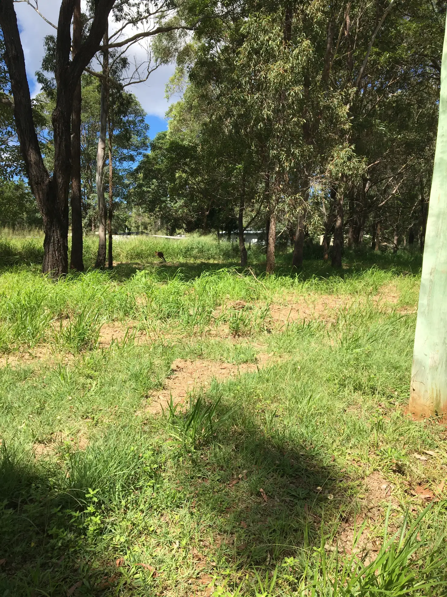 Main view of Homely land listing, 10 Yara St, Russell Island QLD 4184