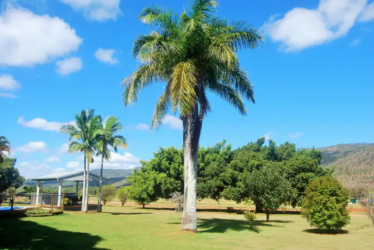 Fifth view of Homely rural property listing, Address available on request