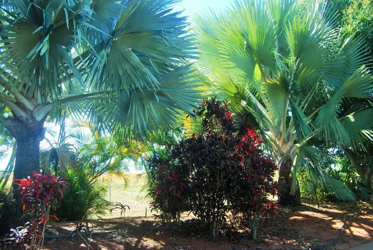 Sixth view of Homely rural property listing, Address available on request