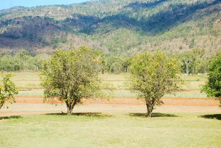 Seventh view of Homely rural property listing, Address available on request