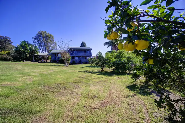 Main view of Homely rural property listing, 68 Park St, Coolongolook NSW 2423