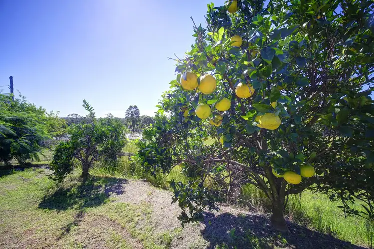 Second view of Homely rural property listing, 68 Park St, Coolongolook NSW 2423