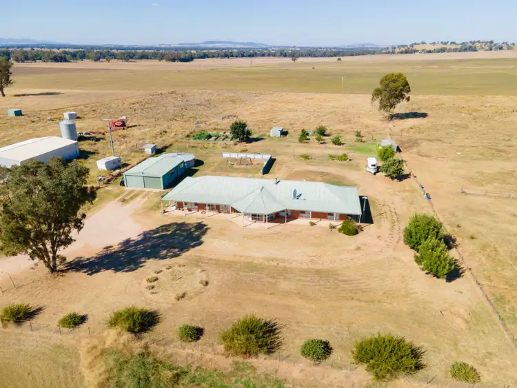 Fourth view of Homely rural property listing, 'Billabong Park'/1591 Walbundrie Rd, Walla Walla NSW 2659
