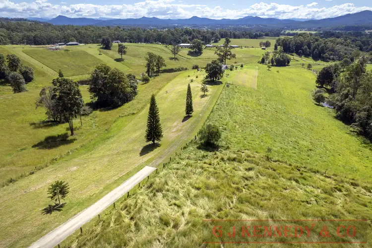 Fifth view of Homely house listing, 561 Rhones Creek Rd, Congarinni North NSW 2447