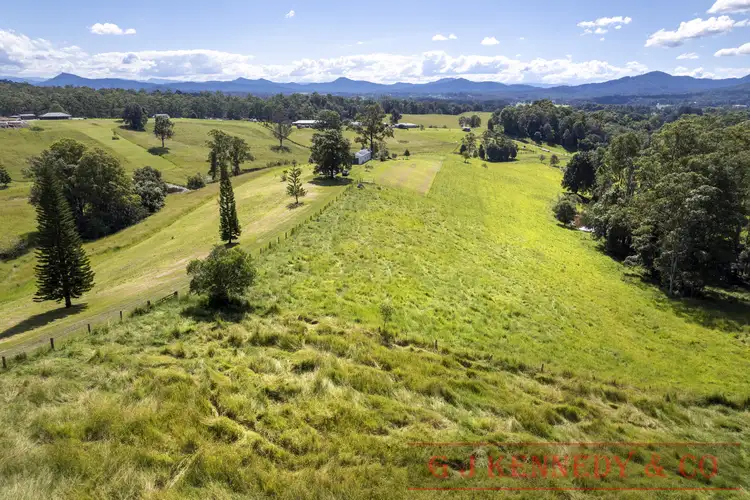 Sixth view of Homely house listing, 561 Rhones Creek Rd, Congarinni North NSW 2447