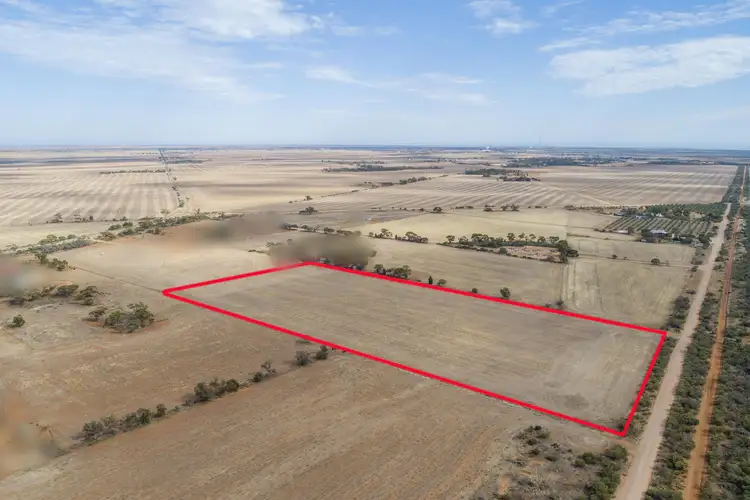 517 Angel Road, Warnertown SA 5540
