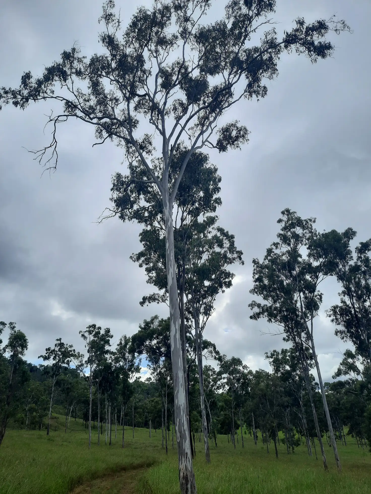 Main view of Homely land listing, Lot 4 Gin Gin Mount Perry Road, Boolboonda QLD 4671