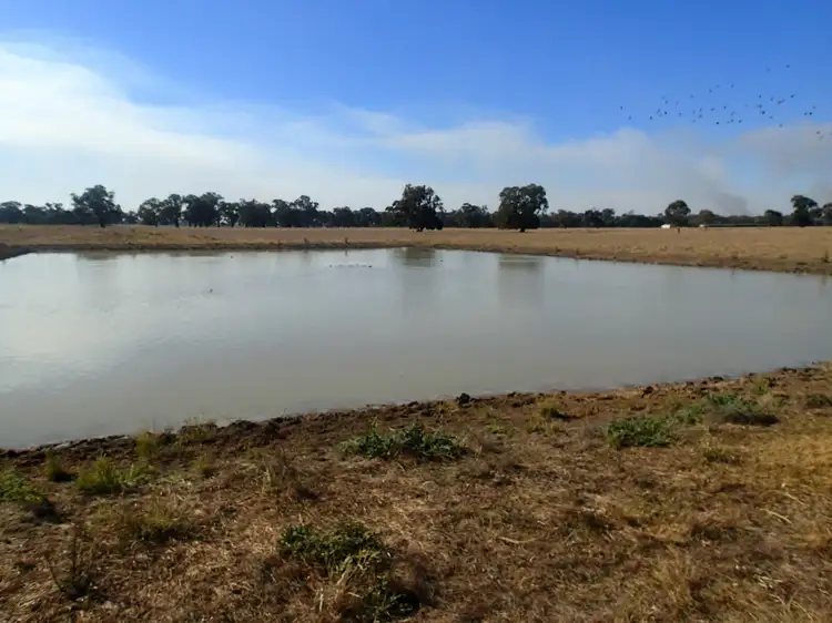 Second view of Homely rural property listing, 20 Geo Way Rd, Corowa NSW 2646