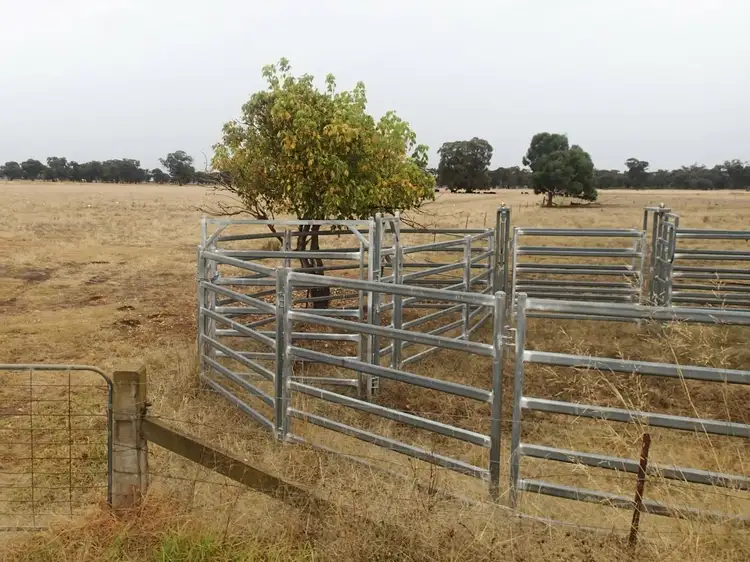 Fifth view of Homely rural property listing, 20 Geo Way Rd, Corowa NSW 2646