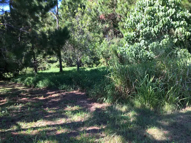 24 Illagona St, Russell Island QLD 4184